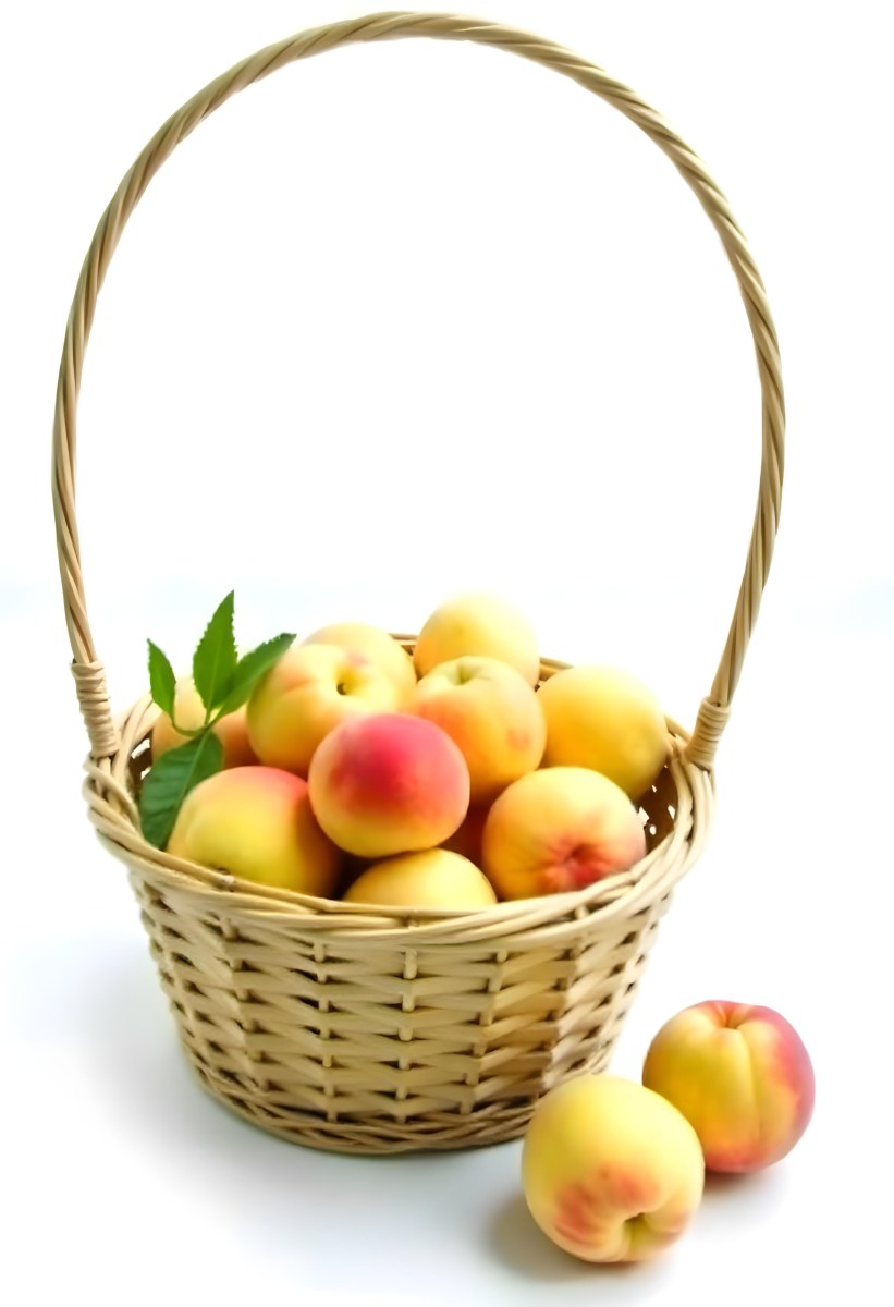 A Basket Full Of Peaches Some Peaches Are Yellow And Some Are Red With Red Spots In A White Background 14 A072