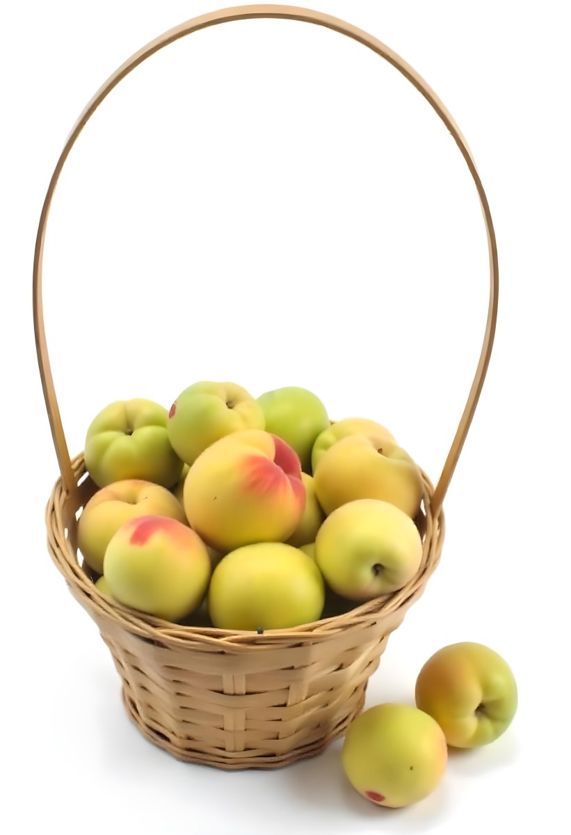 A Basket Full Of Peaches Some Peaches Are Yellow And Some Are Red With Red Spots In A White Background 25 513e