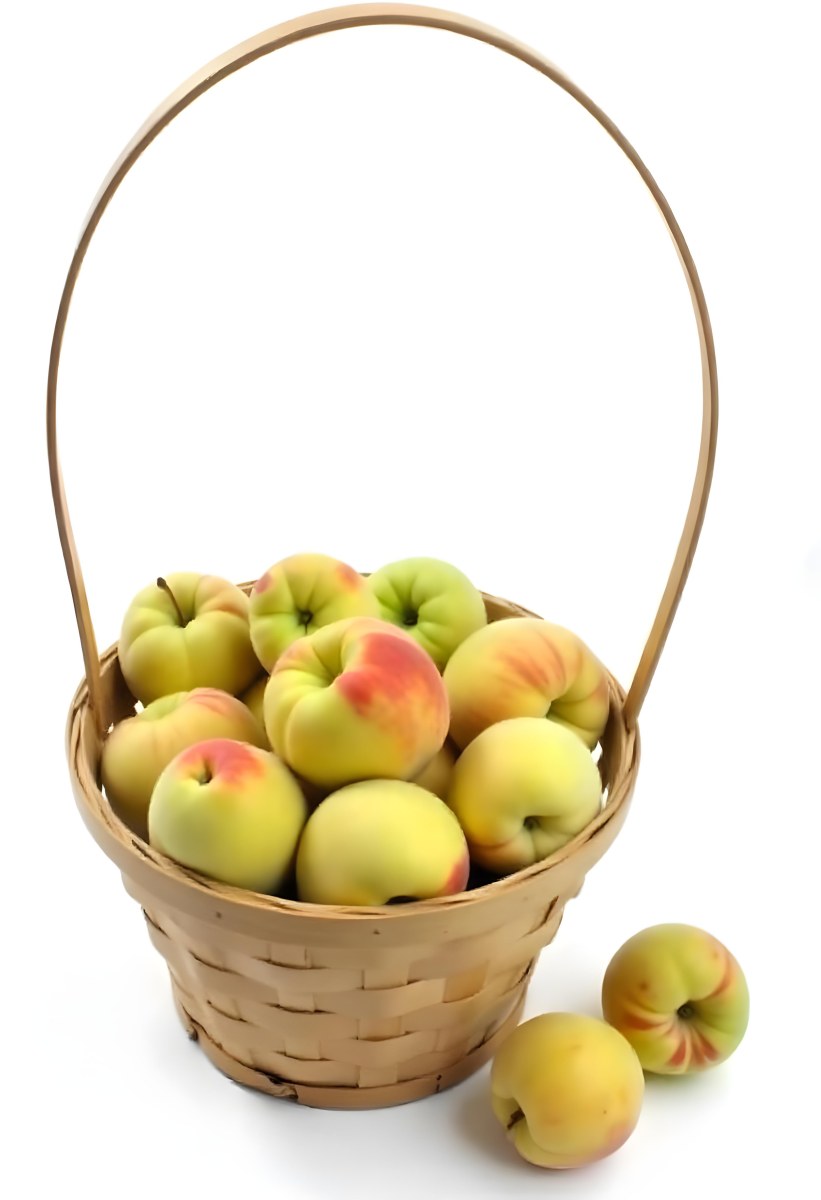 A Basket Full Of Peaches Some Peaches Are Yellow And Some Are Red With Red Spots In A White Background 28 8d8c