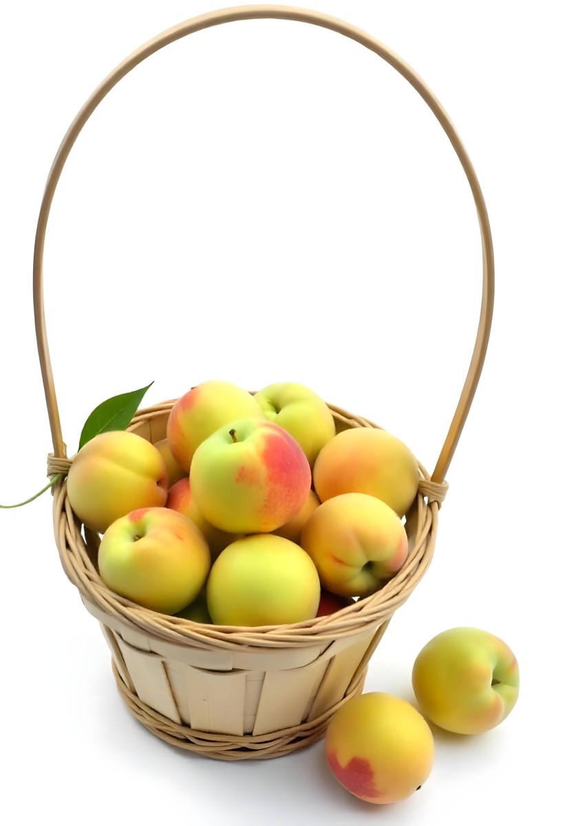 A Basket Full Of Peaches Some Peaches Are Yellow And Some Are Red With Red Spots In A White Background 4 7003