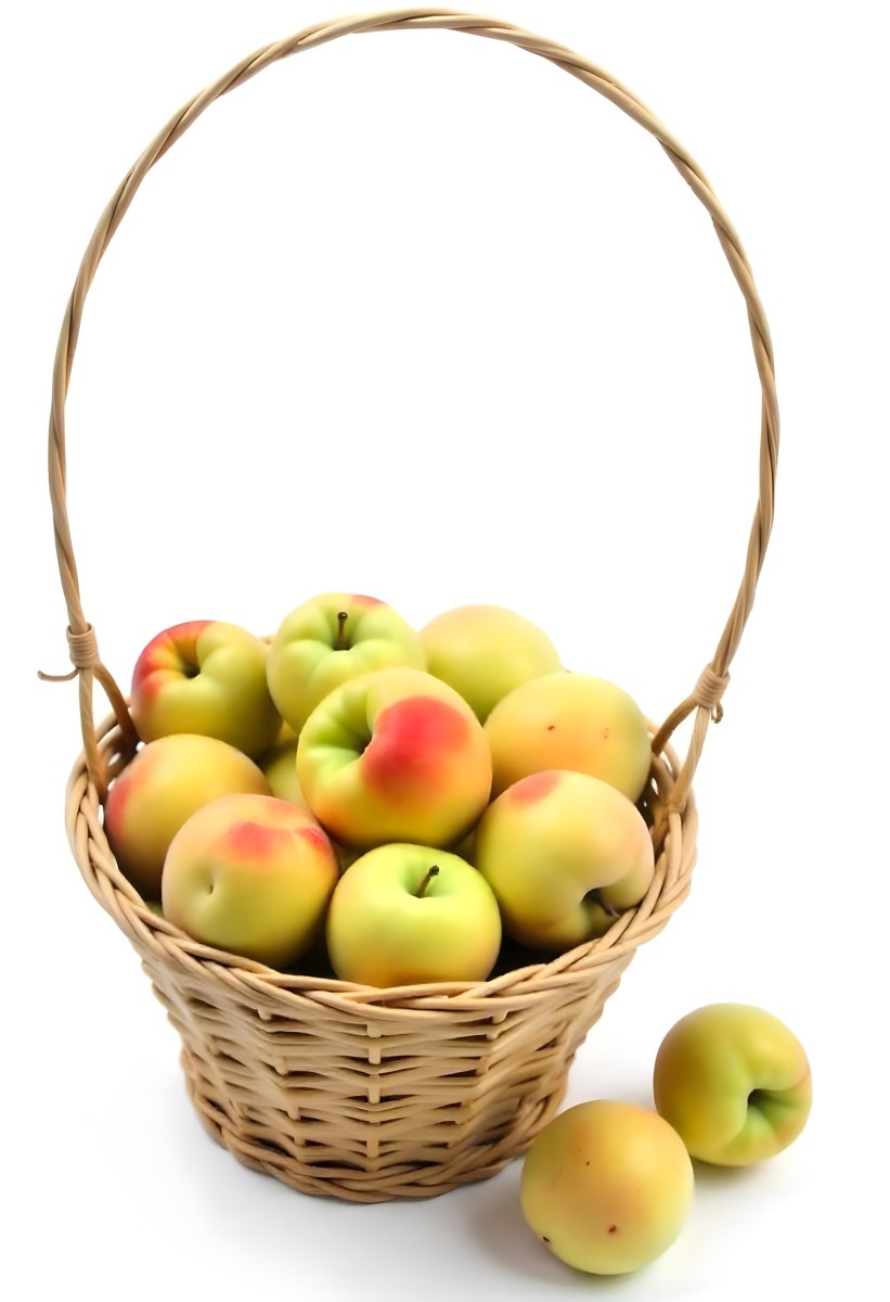 A Basket Full Of Peaches Some Peaches Are Yellow And Some Are Red With Red Spots In A White Background 6 3ab3