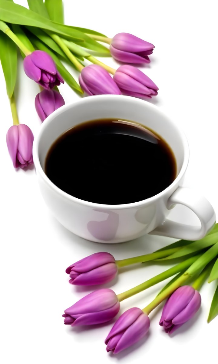 A Black Cup Of Black Coffee Surrounded By Purple Tulips On A Black Background 18 5bf4