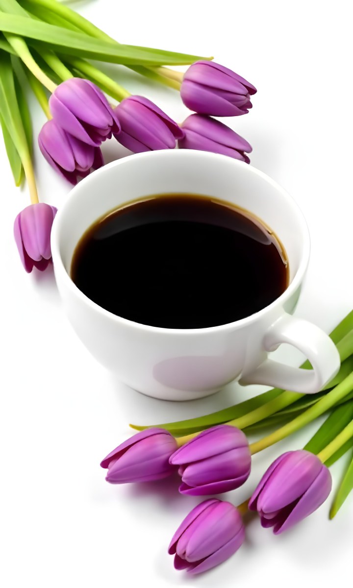 A Black Cup Of Black Coffee Surrounded By Purple Tulips On A Black Background 25 Cc16