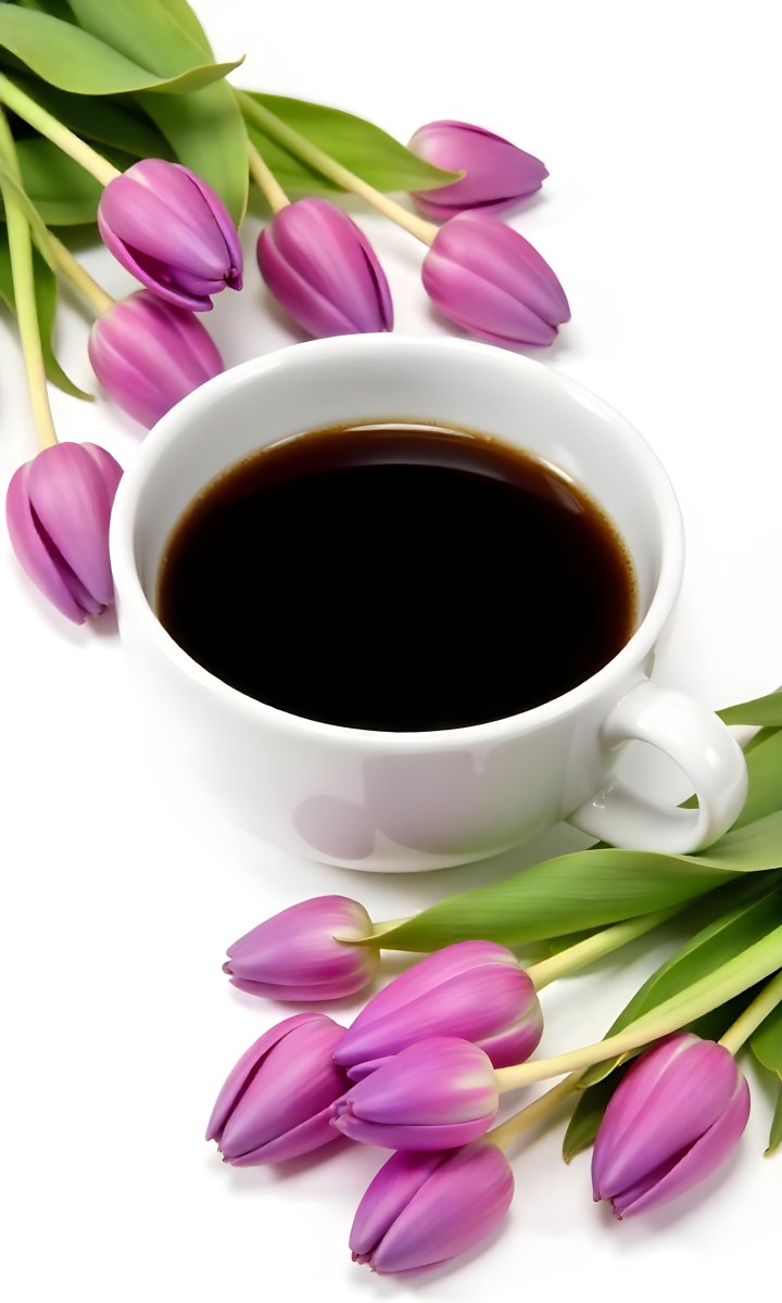 A Black Cup Of Black Coffee Surrounded By Purple Tulips On A Black Background 31 9af6