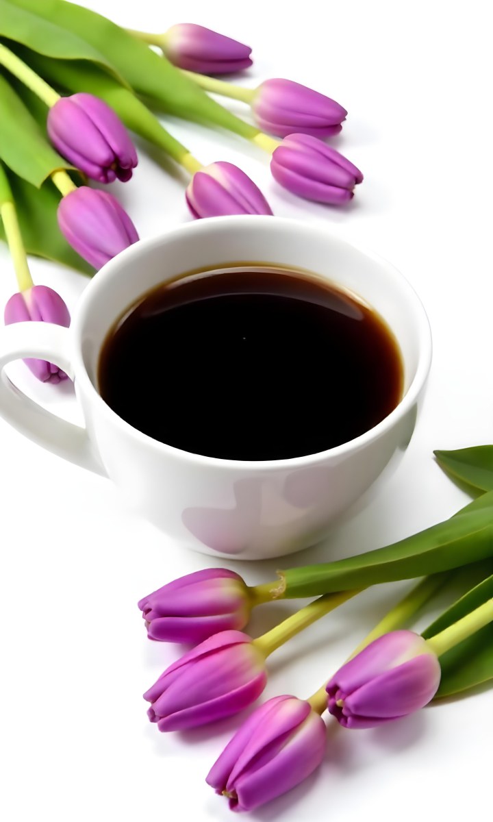 A Black Cup Of Black Coffee Surrounded By Purple Tulips On A Black Background 42 C0ce