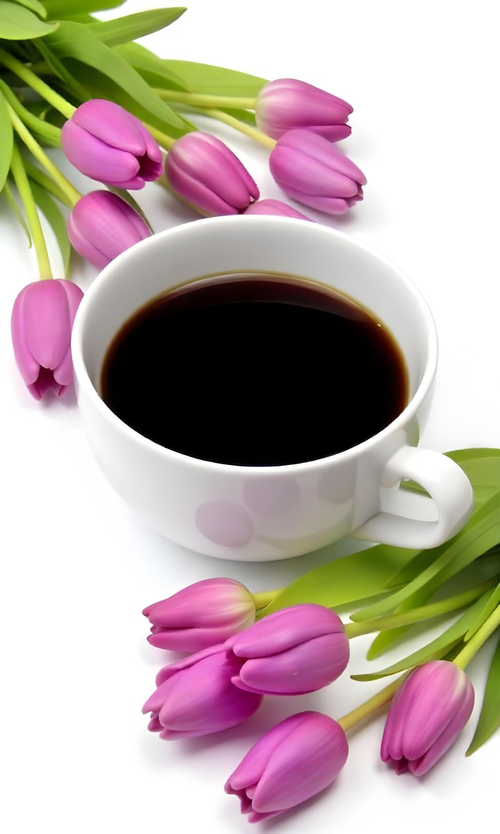 A Black Cup Of Black Coffee Surrounded By Purple Tulips On A Black Background 56 7299