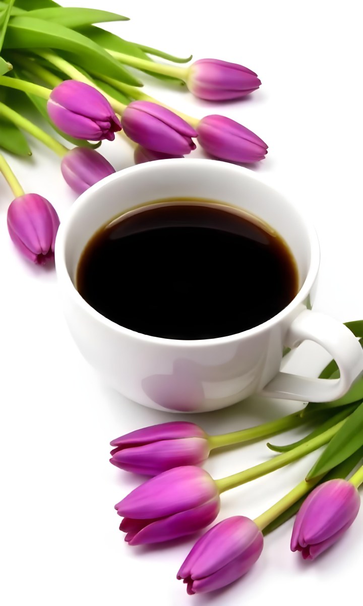 A Black Cup Of Black Coffee Surrounded By Purple Tulips On A Black Background 8 7db6