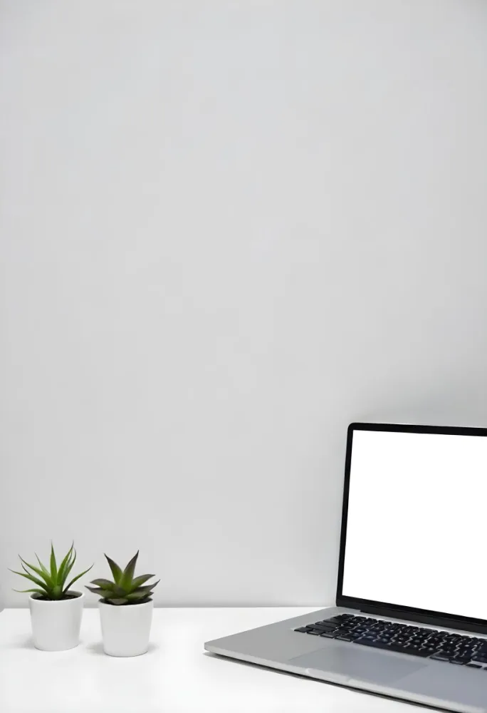 A Black Picture Frame On A White Wall With A Small Potted Plant In The Foreground 3 B119