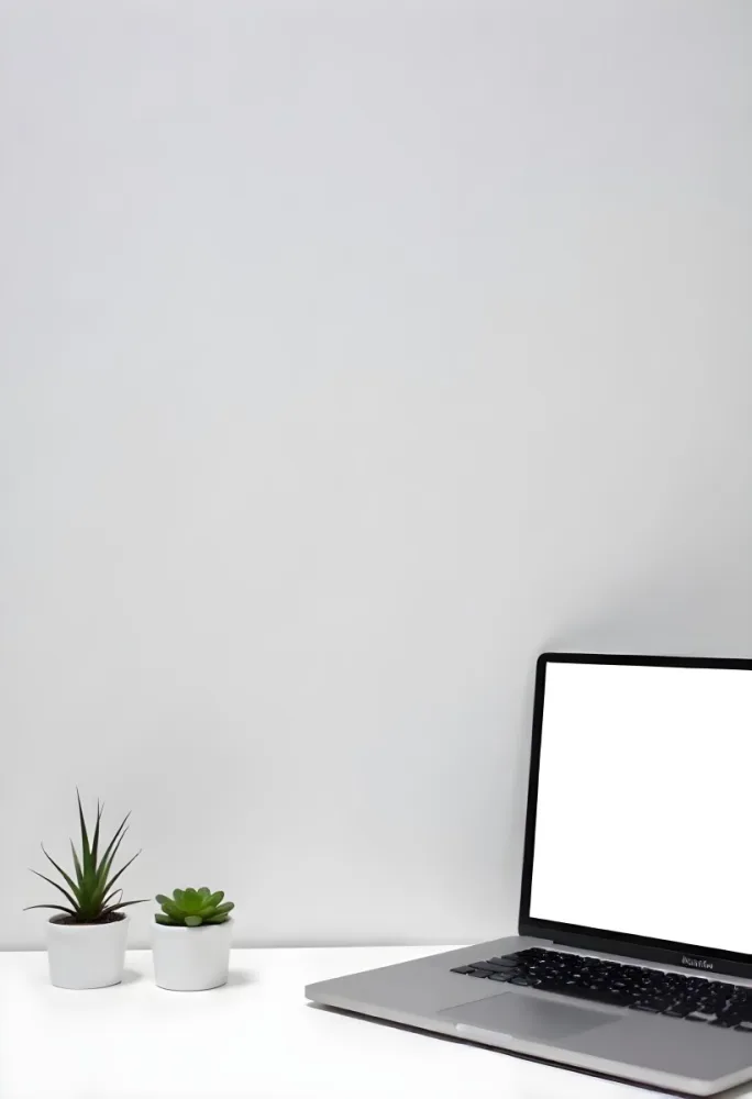 A Black Picture Frame On A White Wall With A Small Potted Plant In The Foreground 5 E061