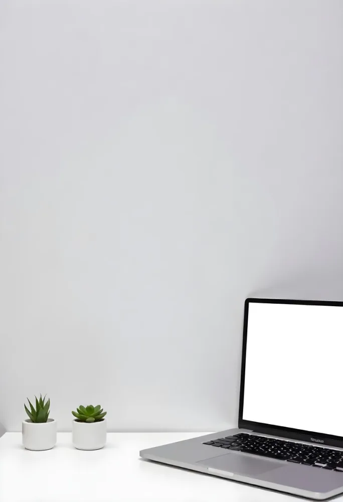 A Black Picture Frame On A White Wall With A Small Potted Plant In The Foreground 8 Decc