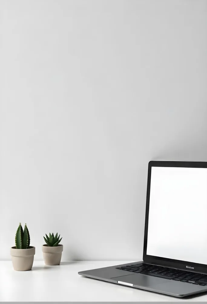 A Blank Black Canvas With A White Frame Two Small Succulent Plants And A White Wall Background 44 5811