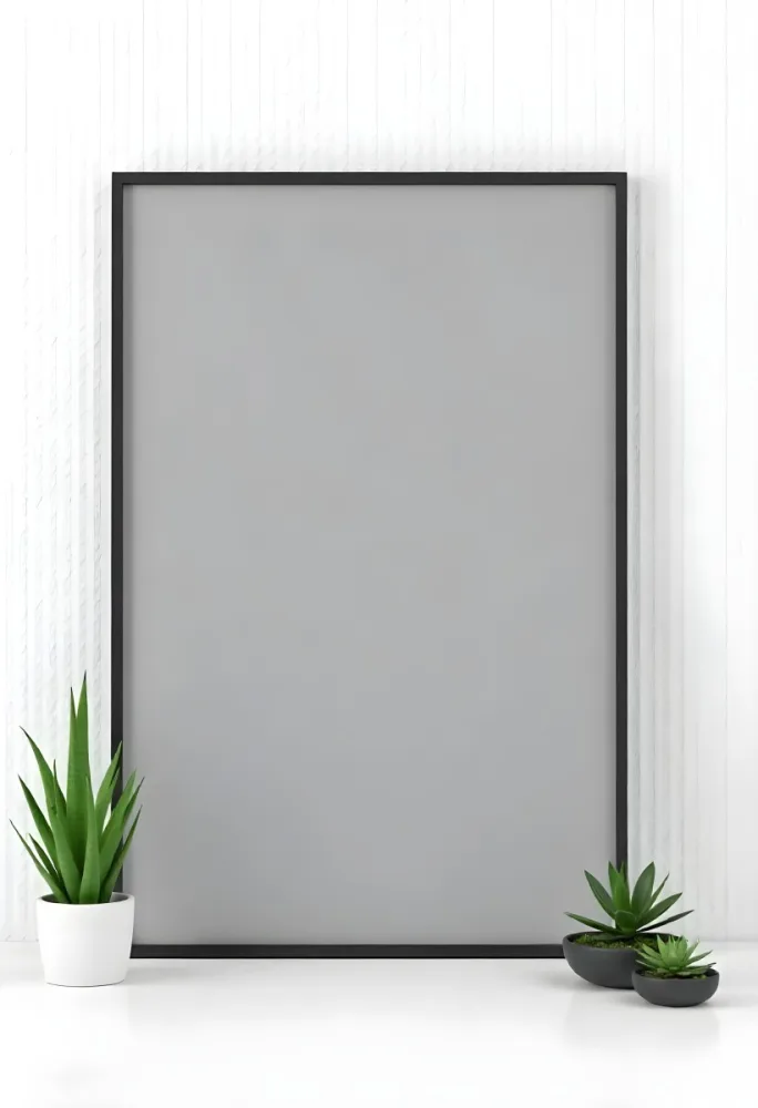 A Blank Black Canvas With A White Frame Two Small Succulent Plants And A White Wall Background 54 5033