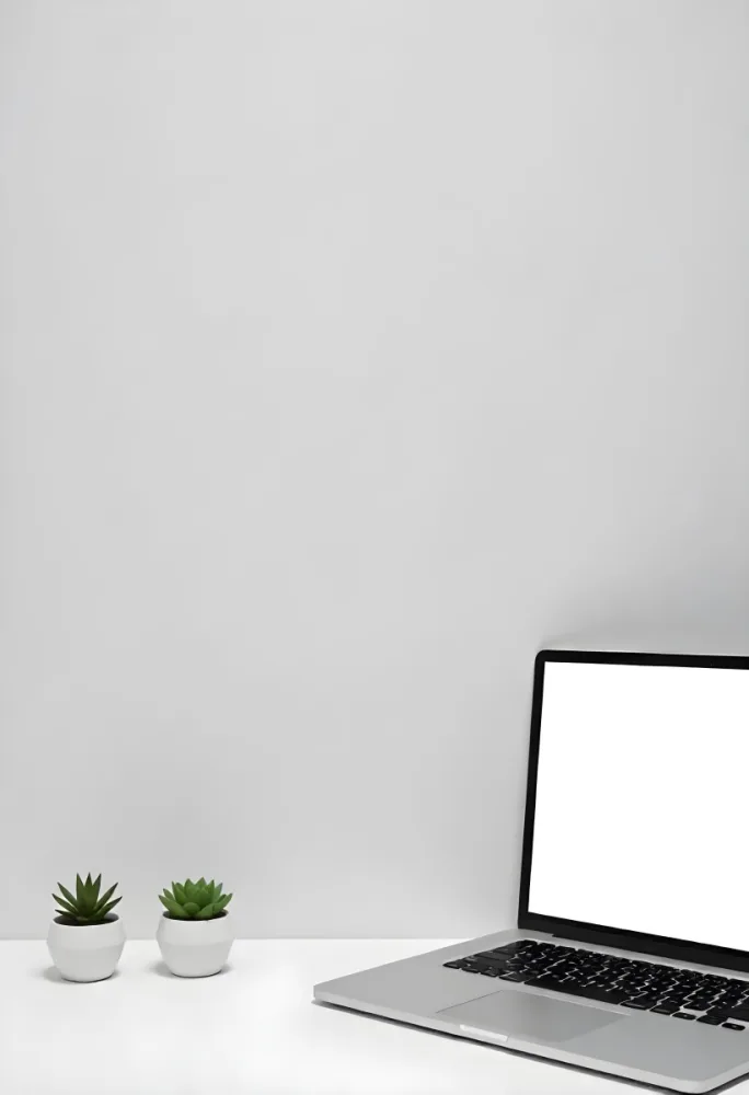 A Blank Black Canvas With A White Frame Two Small Succulent Plants And A White Wall Background 55 1349