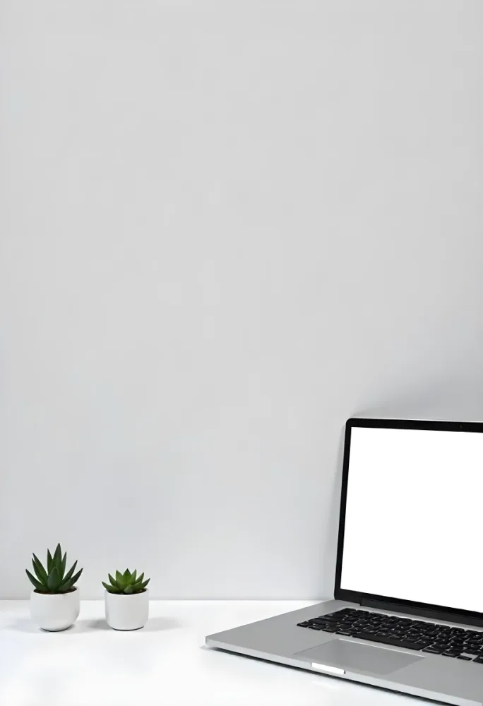 A Blank Black Canvas With A White Frame Two Small Succulent Plants And A White Wall Background 60 1fc1