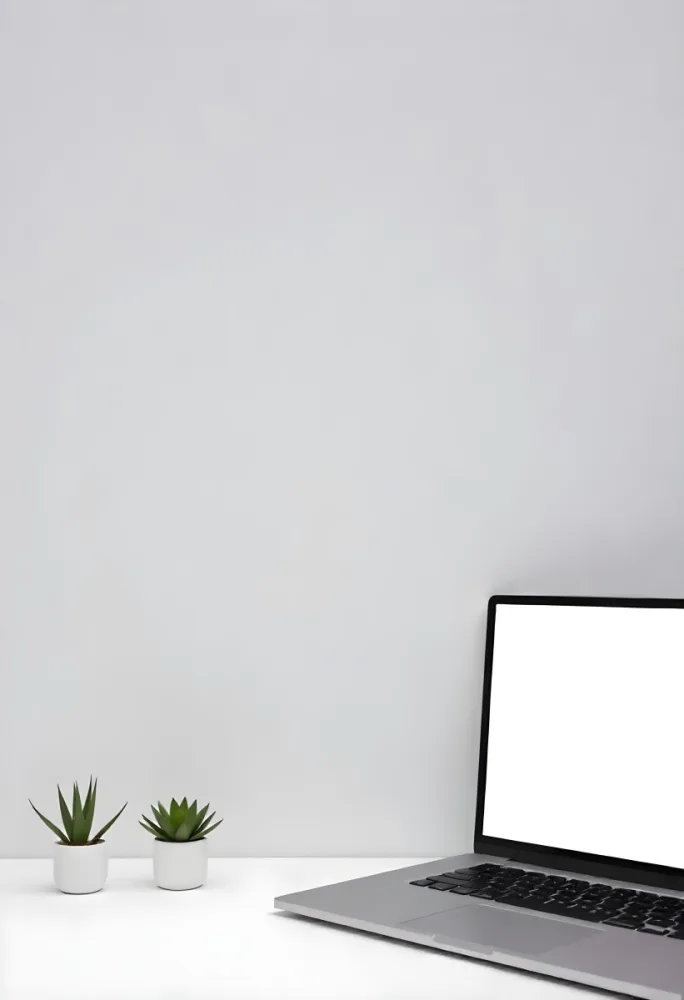 A Blank Black Canvas With A White Frame Two Small Succulent Plants And A White Wall Background 7 4505