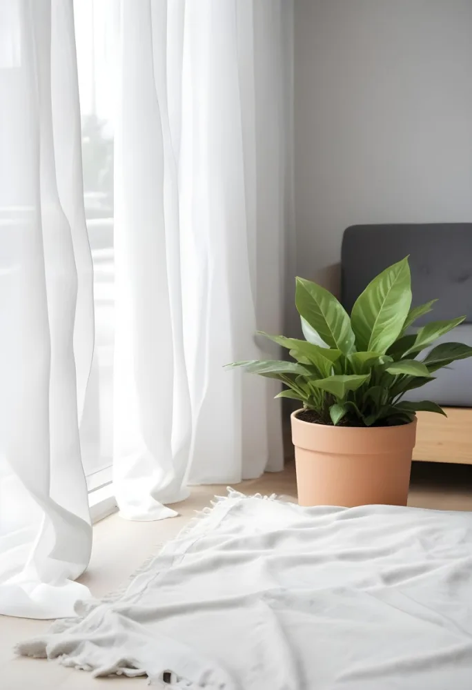A Green Plant In A White Pot On A Wooden Table A White Curtain In The Foreground A Gray Sofa In The Background In A Living Room 5 9cd2