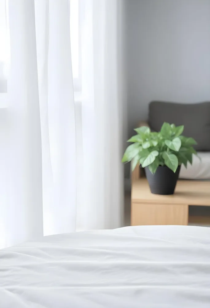 A Green Plant In A White Pot On A Wooden Table A White Curtain In The Foreground A Gray Sofa In The Background In A Living Room 51 5758