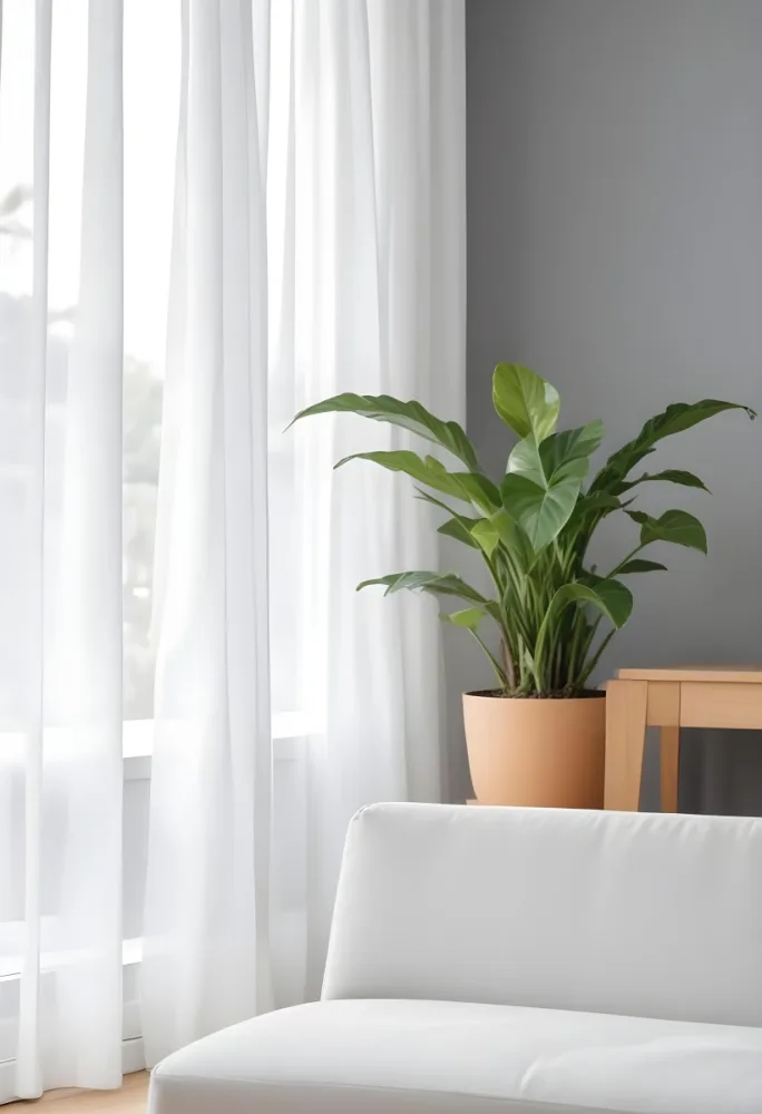 A Green Plant In A White Pot On A Wooden Table A White Curtain In The Foreground A Gray Sofa In The Background In A Living Room 53 9456