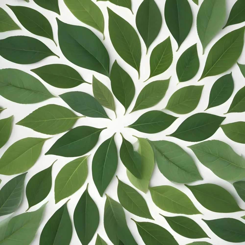 A Close Up View Of A Green Leaf Pattern With Various Shades Of Green Leaves Arranged In A Spiral Design 10 Ed71