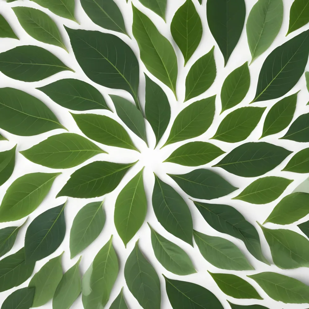 A Close Up View Of A Green Leaf Pattern With Various Shades Of Green Leaves Arranged In A Spiral Design 25 19ad