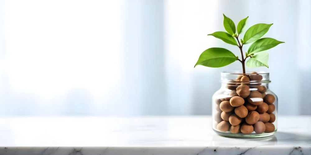A Glass Jar Filled With Dried Herbs With Green Leaves In The Foreground On A Marble Surface Against A Blurred Background 13 3ecb