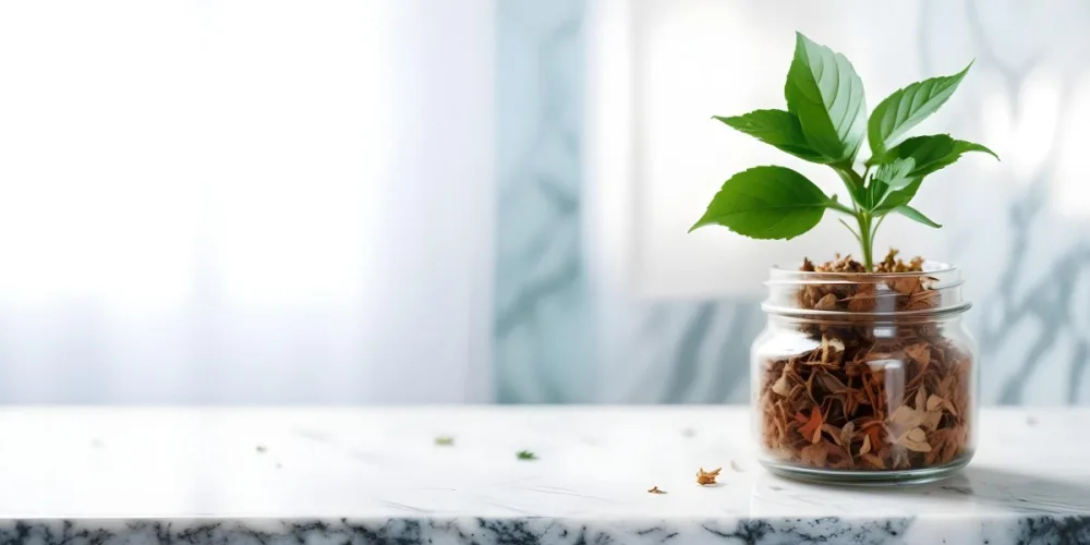 A Glass Jar Filled With Dried Herbs With Green Leaves In The Foreground On A Marble Surface Against A Blurred Background 17 8f91