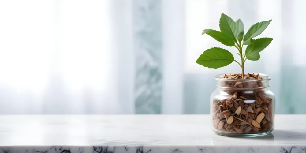 A Glass Jar Filled With Dried Herbs With Green Leaves In The Foreground On A Marble Surface Against A Blurred Background 29 248c
