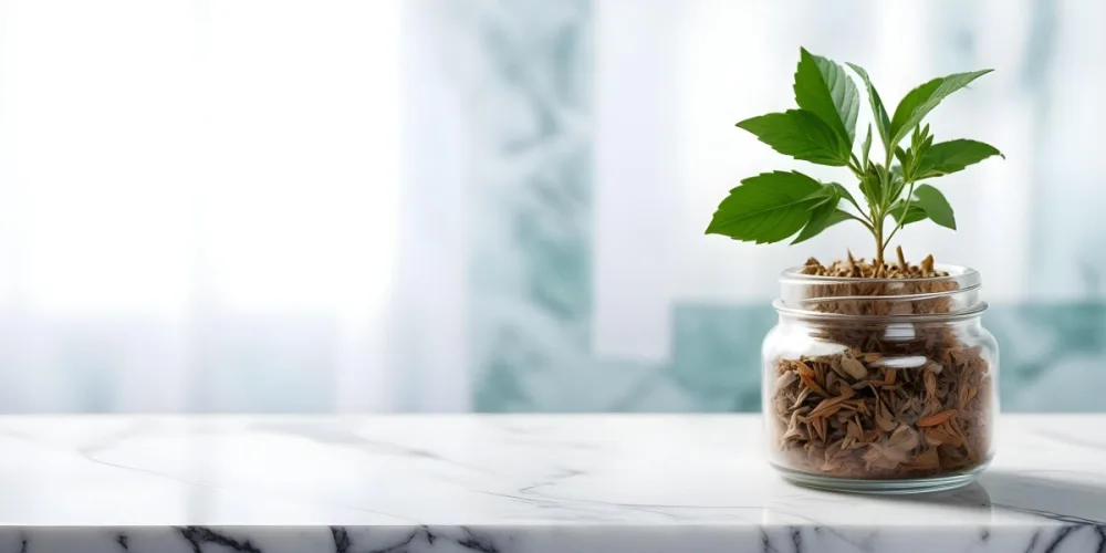 A Glass Jar Filled With Dried Herbs With Green Leaves In The Foreground On A Marble Surface Against A Blurred Background 36 2efc