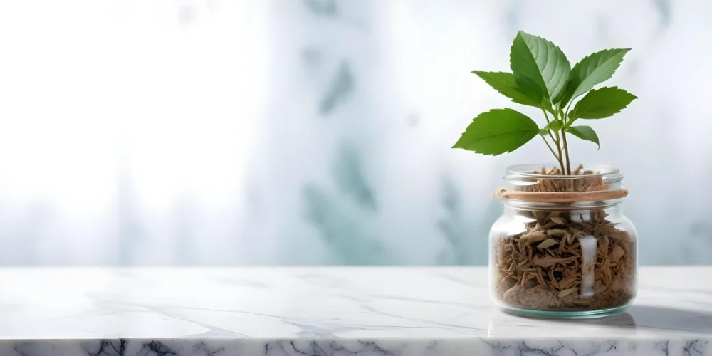 A Glass Jar Filled With Dried Herbs With Green Leaves In The Foreground On A Marble Surface Against A Blurred Background 38 920a
