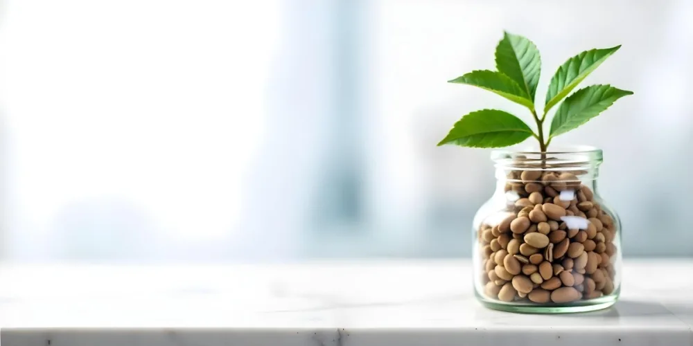 A Glass Jar Filled With Dried Herbs With Green Leaves In The Foreground On A Marble Surface Against A Blurred Background 84 9242