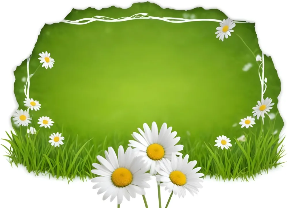 A Green Wooden Frame In A Field Of White