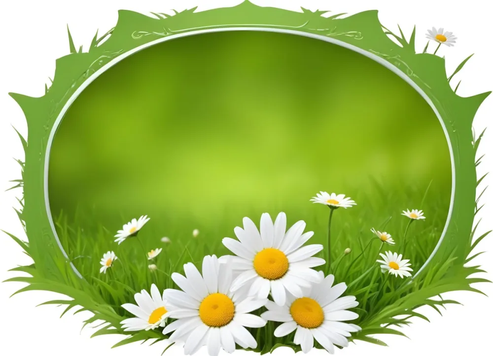 A Green Wooden Frame In A Field Of White Daisy Flowers On A Grassy Background 3 7870