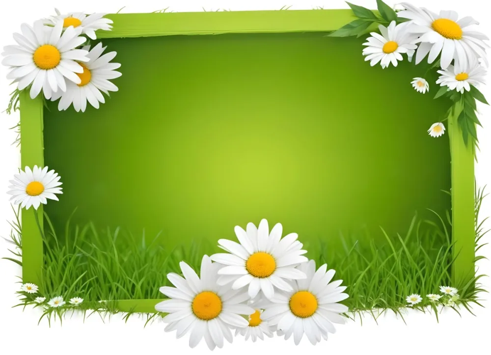 A Green Wooden Frame In A Field Of White Daisy Flowers On A Grassy Background 4 A7ea