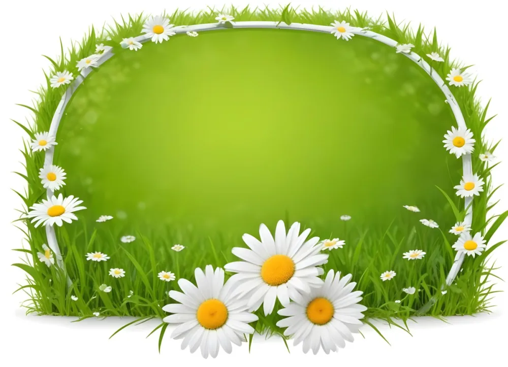 A Green Wooden Frame In A Field Of White Daisy Flowers On A Grassy Background 9 F692