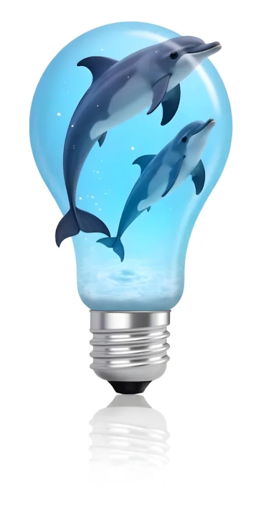 A Light Bulb Filled With Water And Dolphins Swimming Inside The Background Is Plain White The Light Bulb Base Is Silver 16 D291