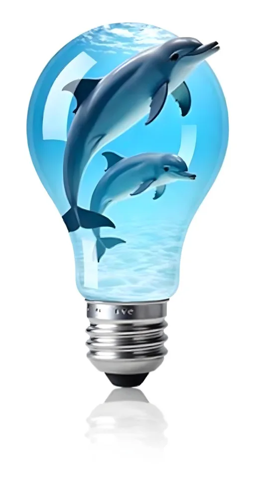A Light Bulb Filled With Water And Dolphins Swimming Inside The Background Is Plain White The Light Bulb Base Is Silver 4 Fc88