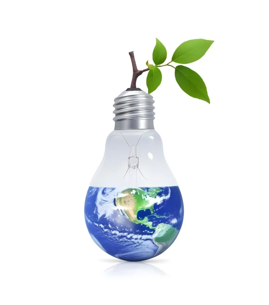 A Light Bulb With The Planet Earth Inside And A Branch With Green Leaves Coming Out Of The Top On A Green Background 18 88e0