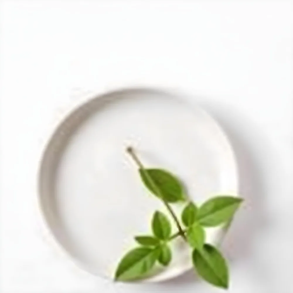 A White Plate With A Green Branch On Top Of It In A White Background 14 A50e