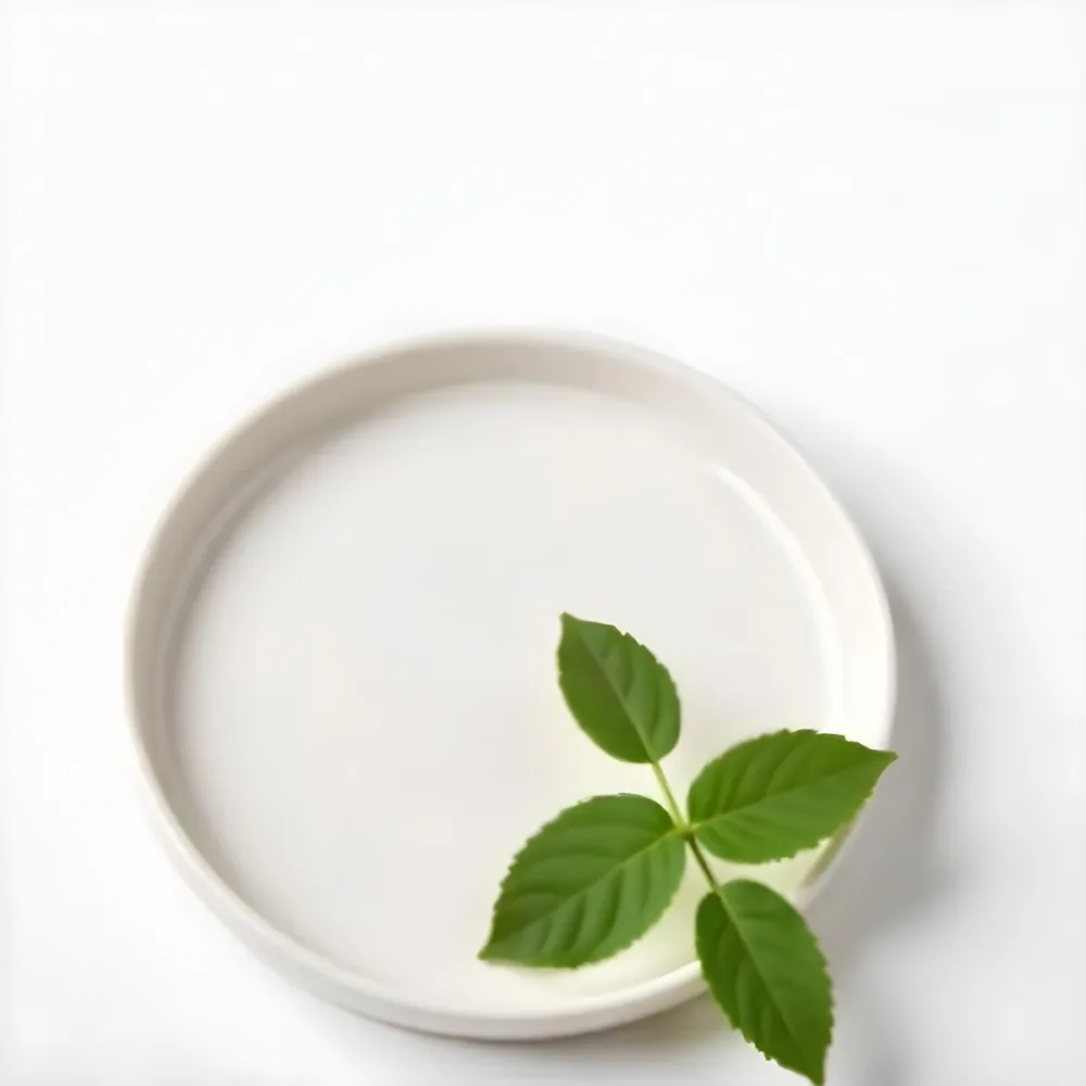 A White Plate With A Green Branch On Top Of It In A White Background 16 8d26