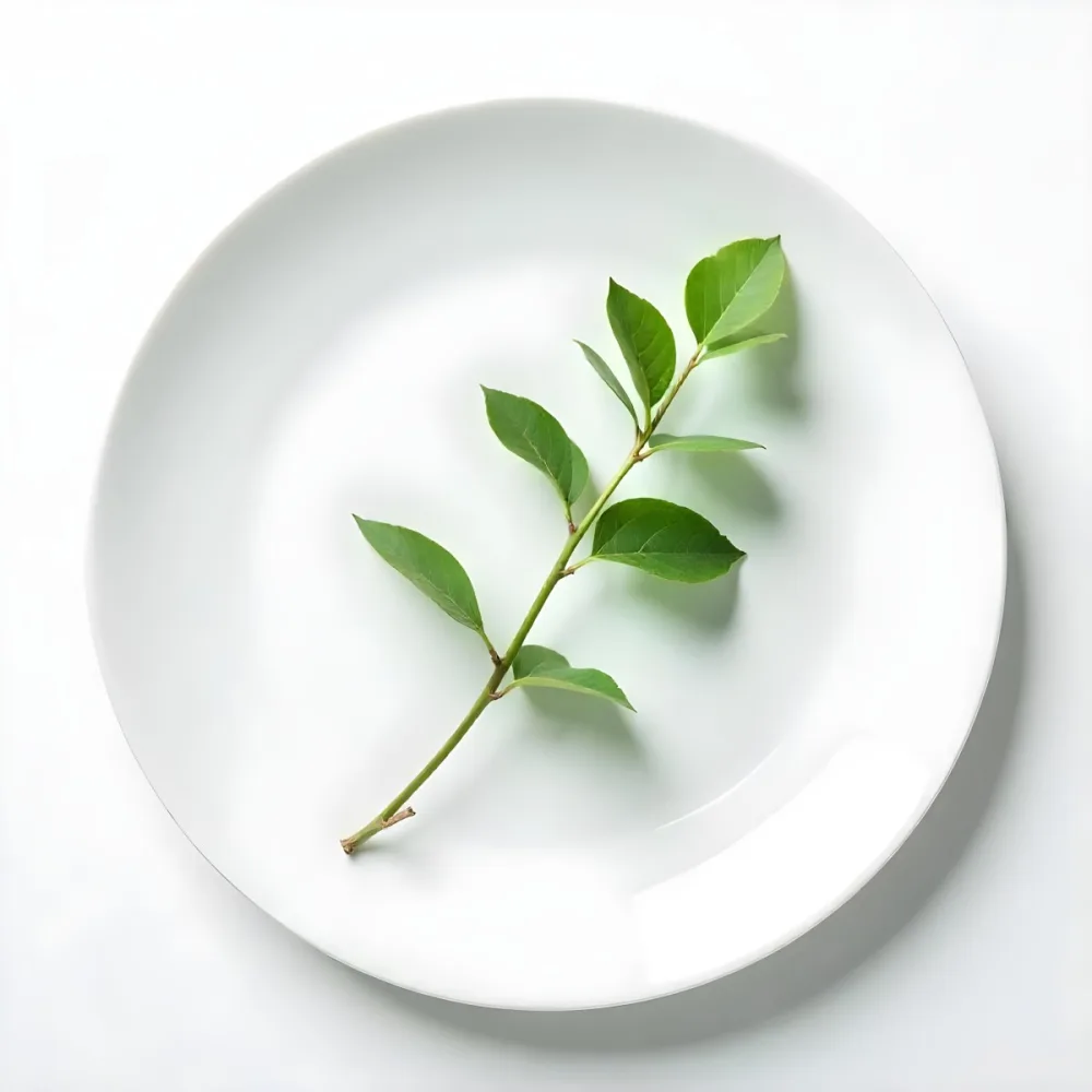 A White Plate With A Green Branch On Top Of It In A White Background 21 4c94