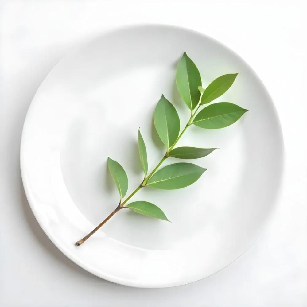 A White Plate With A Green Branch On Top Of It In A White Background 27 5276