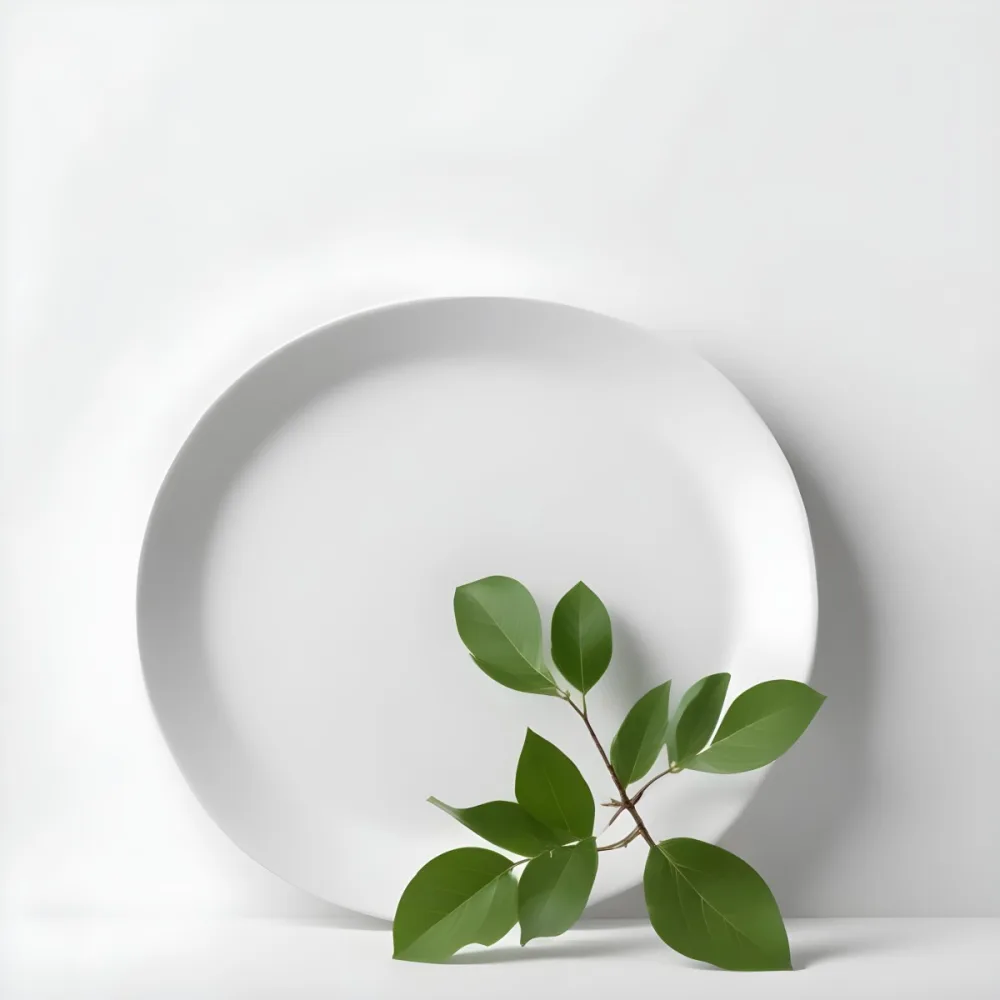 A White Plate With A Green Branch On Top Of It In A White Background 35 6944