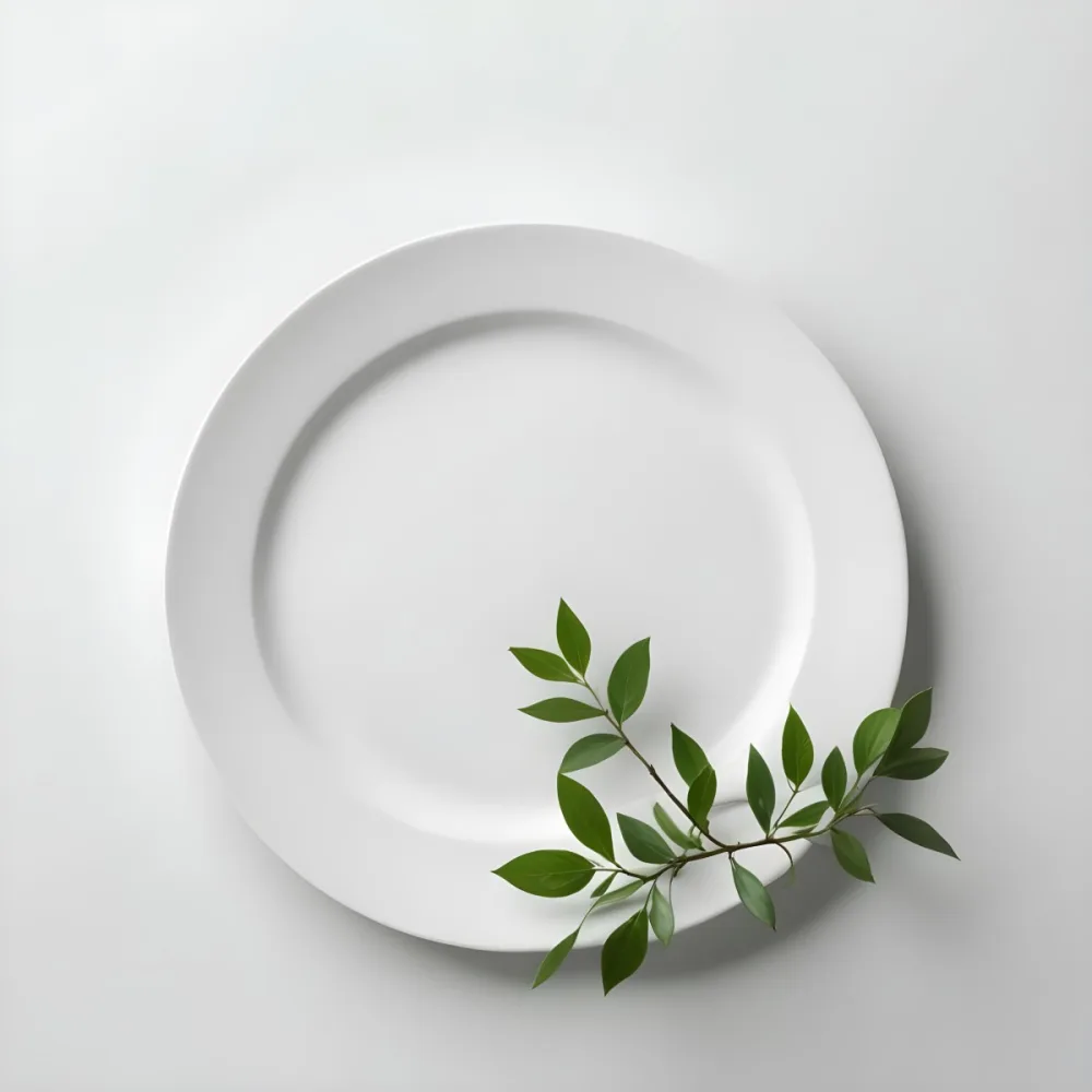 A White Plate With A Green Branch On Top Of It In A White Background 48 5928