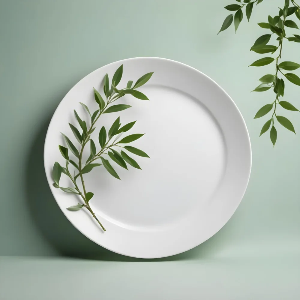 A White Plate With A Green Branch On Top Of It In A White Background 50 4ced