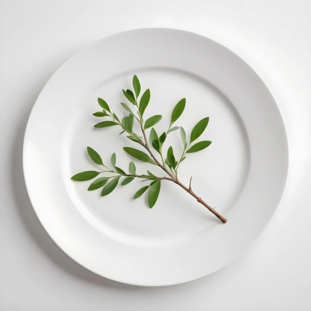 A White Plate With A Green Branch On Top Of It In A White Background 53 72d1