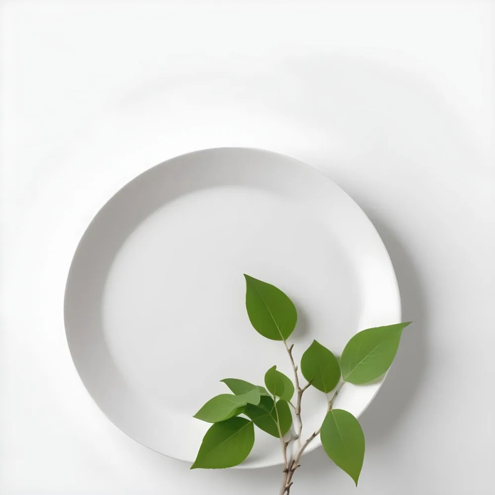 A White Plate With A Green Branch On Top Of It In A White Background 56 523a