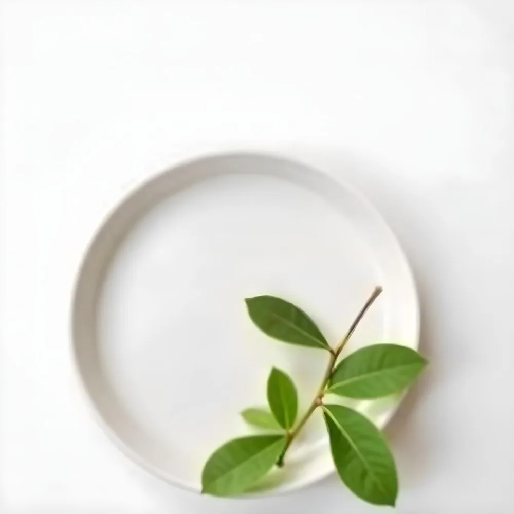 A White Plate With A Green Branch On Top Of It In A White Background 6 71c6