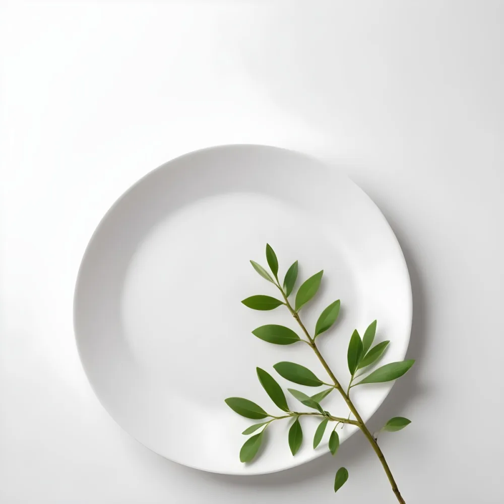 A White Plate With A Green Branch On Top Of It In A White Background 61 E47a