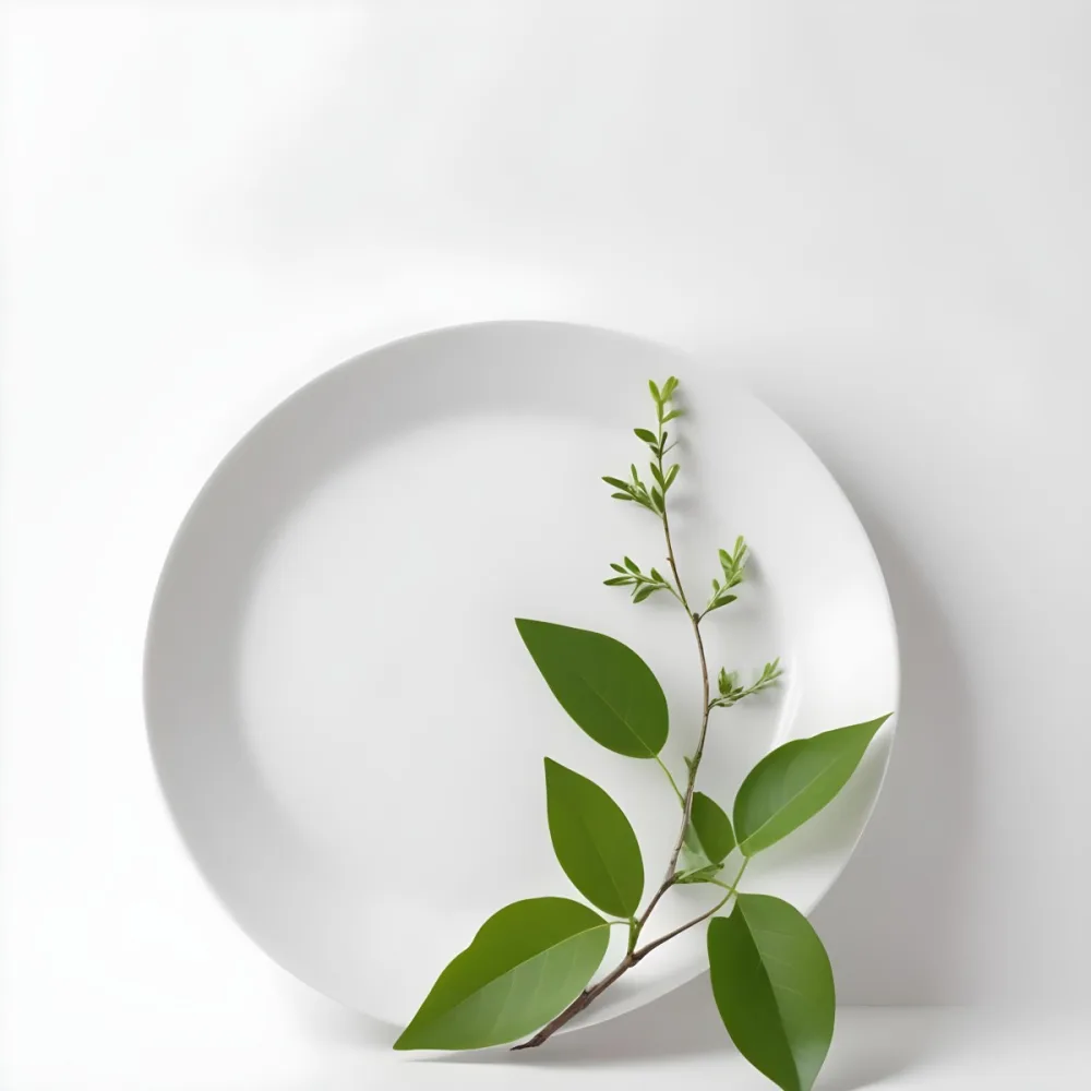 A White Plate With A Green Branch On Top Of It In A White Background 64 2478