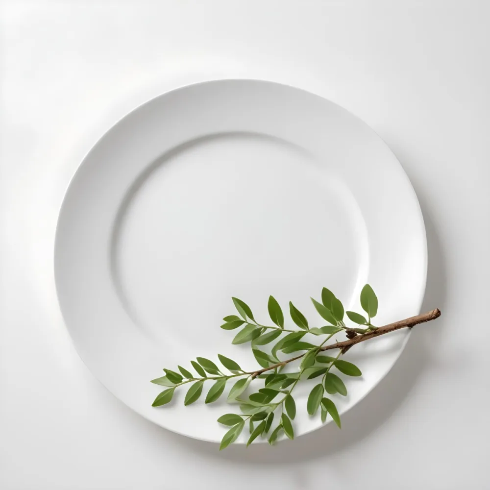 A White Plate With A Green Branch On Top Of It In A White Background 67 4267